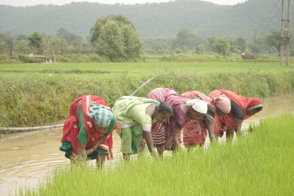 1755160171_b79db1dd3808d04511c5