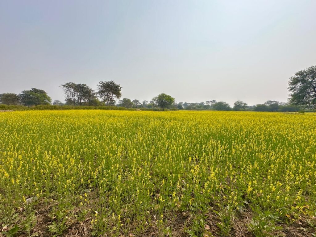 1769071779_2b2f35cc2c139068176f