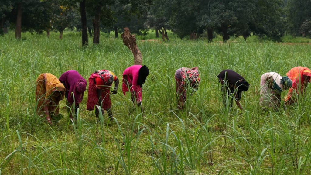 1769151903_9c99873351f52ed670e8