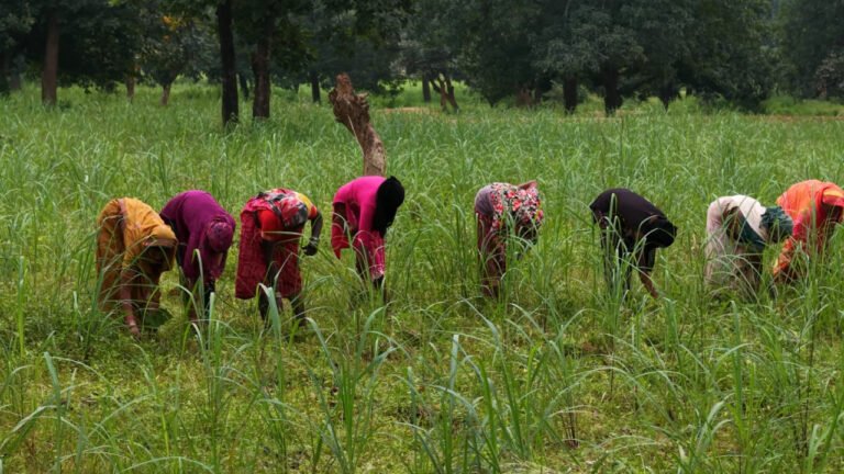 1769151903_9c99873351f52ed670e8