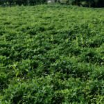 1770224080_886fde163afb1837c090