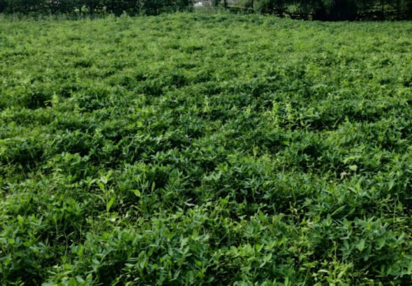 1770224080_886fde163afb1837c090