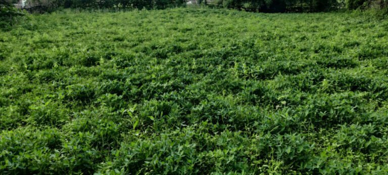 1770224080_886fde163afb1837c090