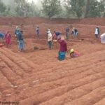 1770722227_3e52599cdade58491788