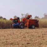 1771424880_5767fcee441598ba9ff4