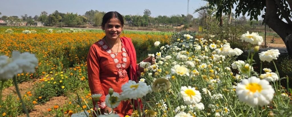 1772712535_58cd44612264d030e161