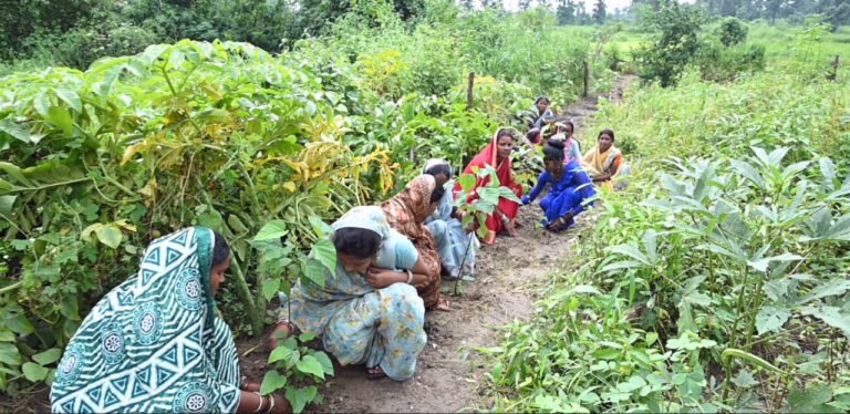 1773230219_0f0a688a7a65b20ff60c