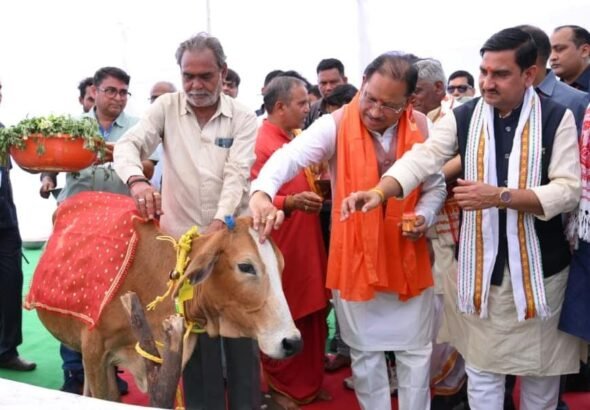 1773492585_d531516a16c64af31889