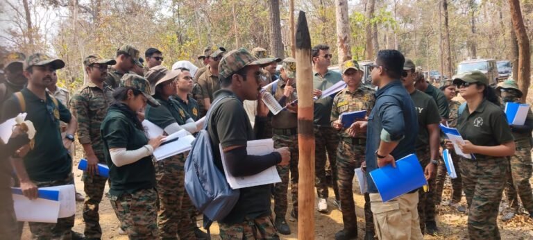 1773664812_ff169f7d300d914c424f