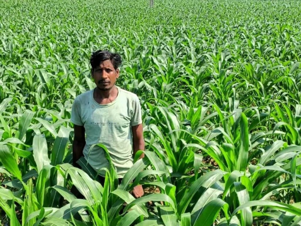 1773747317_669f940ea7727659de5d.jfif