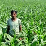 1773747317_669f940ea7727659de5d.jfif