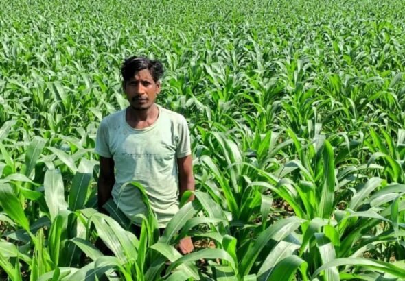 1773747317_669f940ea7727659de5d.jfif