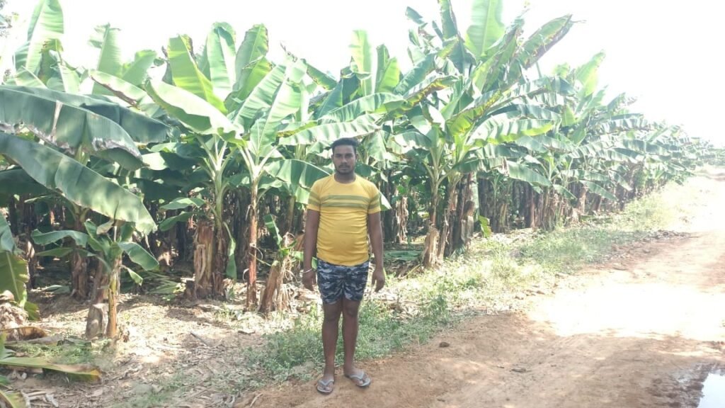 1774185162_b632d614e44fc56c4667