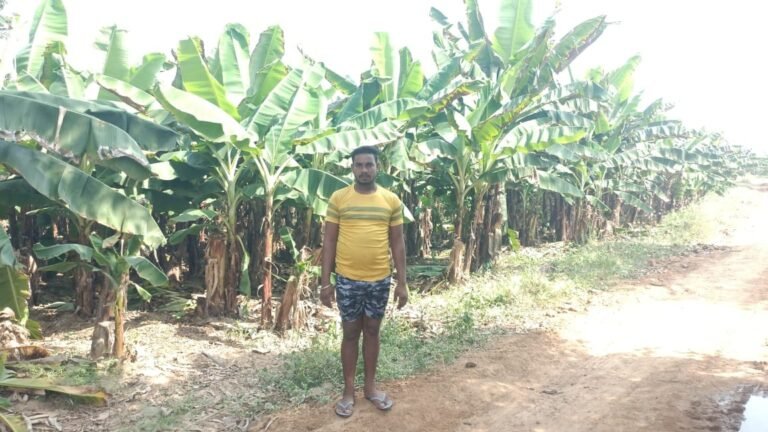 1774185162_b632d614e44fc56c4667