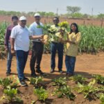 1775225496_4f10e64f59451336a2f6