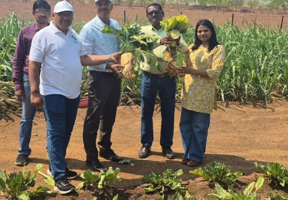 1775225496_4f10e64f59451336a2f6