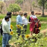 1775991920_dae80e1b3466893366b9