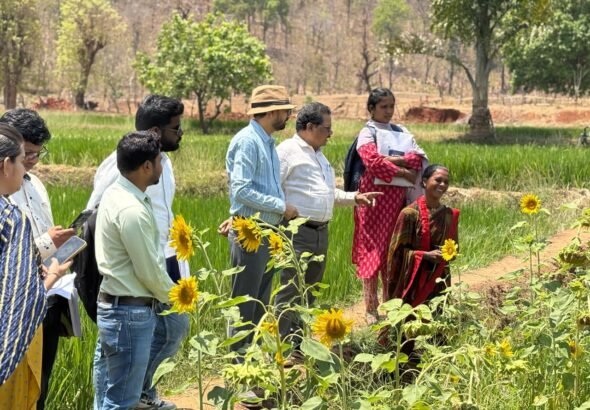 1775991920_dae80e1b3466893366b9