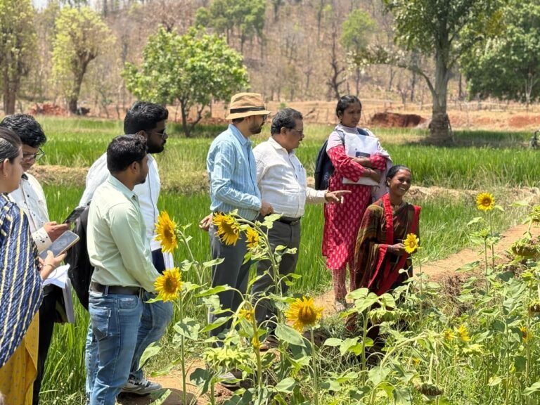 1775991920_dae80e1b3466893366b9