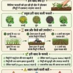 1776008872_9745a24de884d8c6eeea