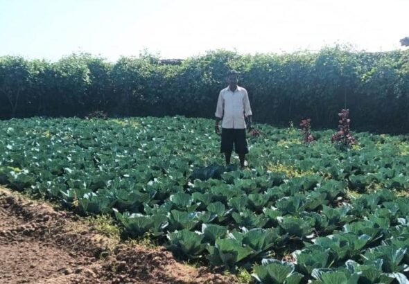 1776177897_3ba59a825937efd64930