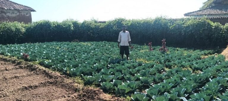 1776177897_3ba59a825937efd64930