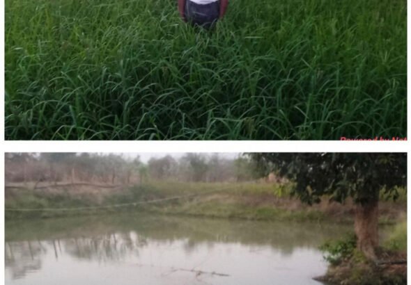 1776353372_a9f639a2943f02e5519e