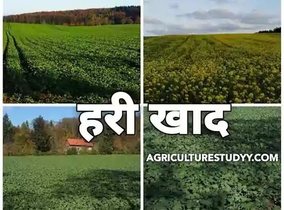 1776423967_64f2cc0c69e662a9c0a2