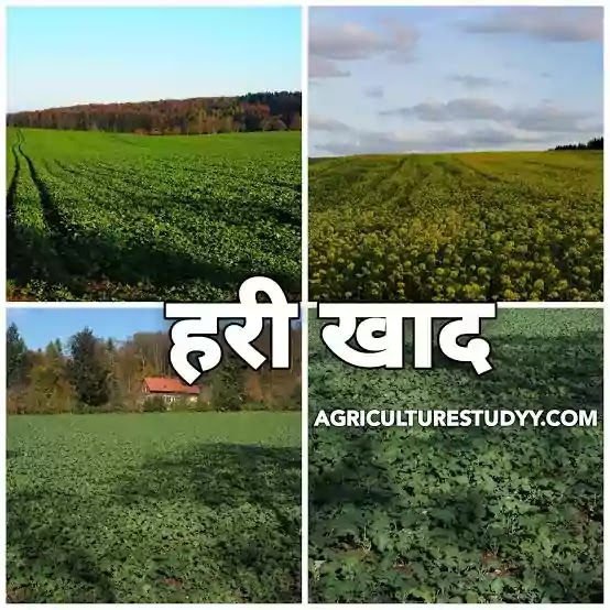 1776423967_64f2cc0c69e662a9c0a2