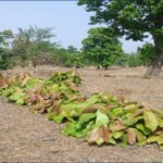 1776845294_d77f9d41ccfadd3a5237