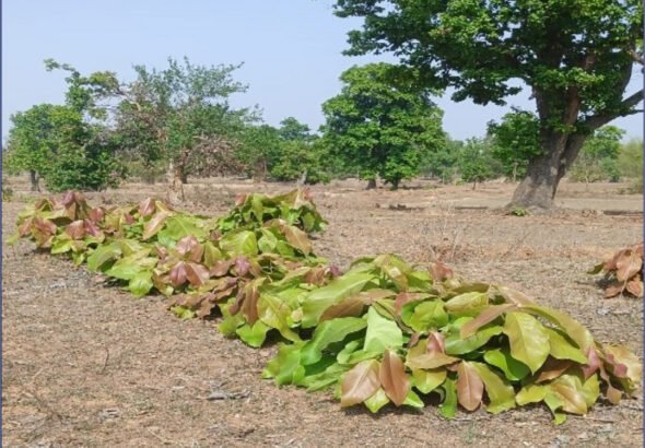 1776845294_d77f9d41ccfadd3a5237