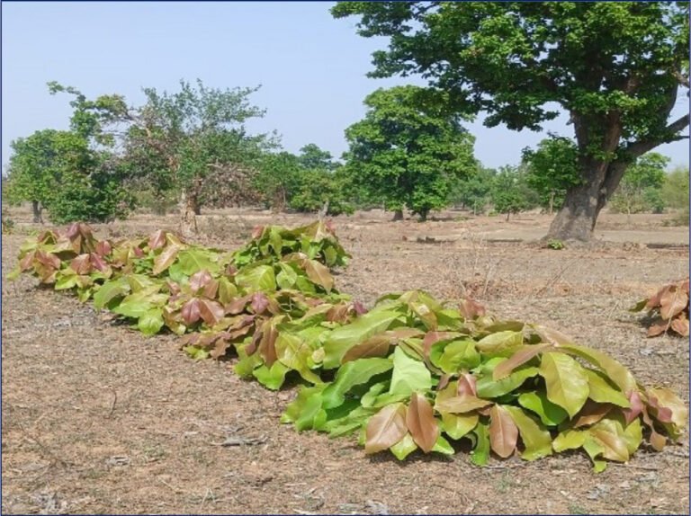 1776845294_d77f9d41ccfadd3a5237