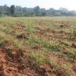 1776848859_e8b17a179232a84449ce