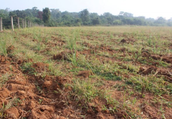 1776848859_e8b17a179232a84449ce