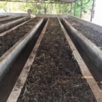 1776849222_80052718c664c30b2335