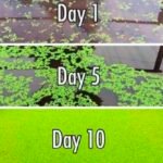 1776960614_e7f612752150e3e3a1e3