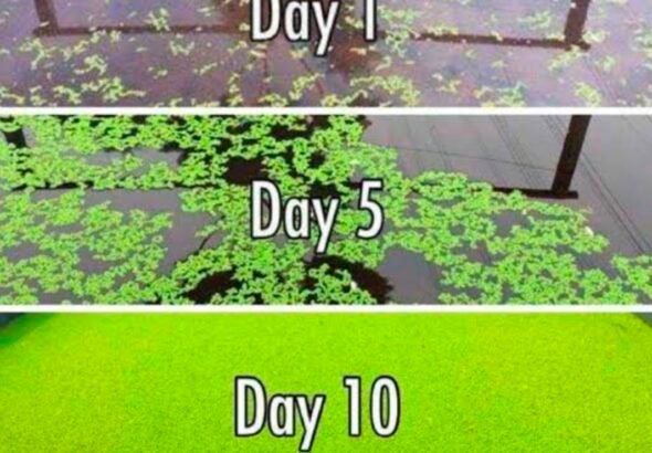 1776960614_e7f612752150e3e3a1e3