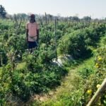 1777115334_999bc7fac117c51124ef