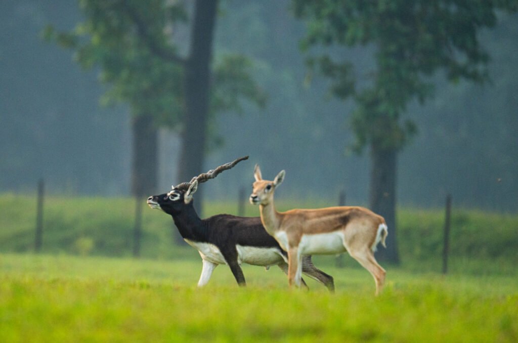 1777209519_2e0da26f1ba8a6fcff75