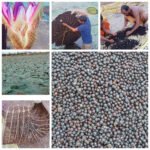 1777384636_7e623b88b5e94f63a4e7