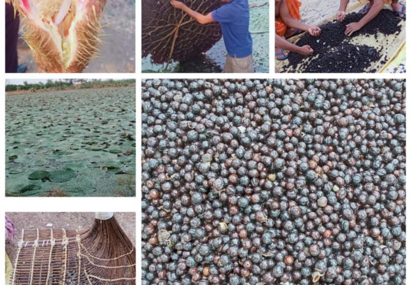 1777384636_7e623b88b5e94f63a4e7