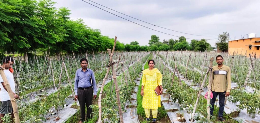 1777384867_7324bd783623739aec78