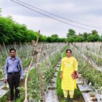 1777384867_7324bd783623739aec78