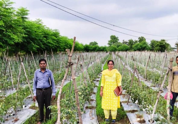 1777384867_7324bd783623739aec78