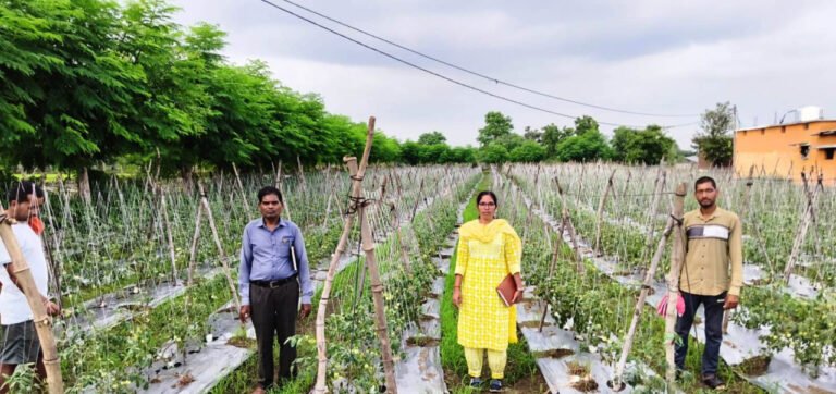 1777384867_7324bd783623739aec78