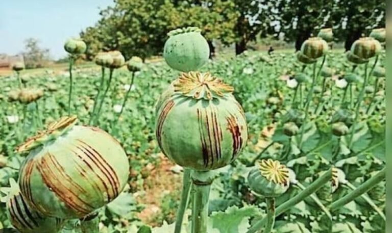 Screenshot_2026-03-24-12-59-38-12_680d03679600f7af0b4c700c6b270fe7